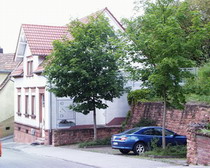 sarnierter Altbau